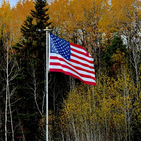 American flag American flag
